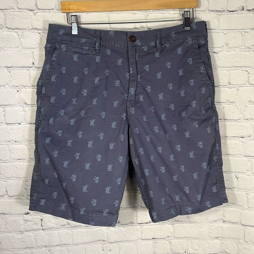 American Eagle Outfitters Pineapple All over Print AOP Classic Shorts size 33